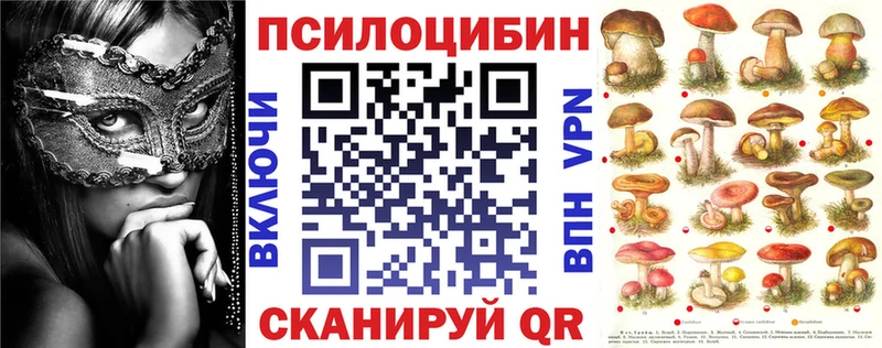 Псилоцибиновые грибы Psilocybine cubensis Ангарск