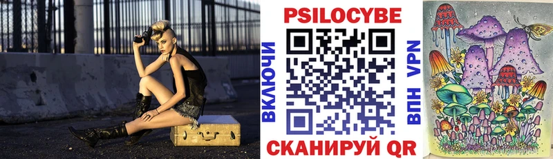 Псилоцибиновые грибы Psilocybe Ангарск